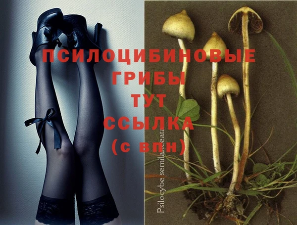 трава Белоозёрский