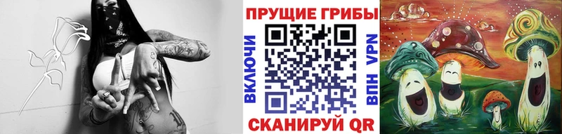 Купить закладки  Нефтекамск  Псилоцибиновые грибы Cubensis 